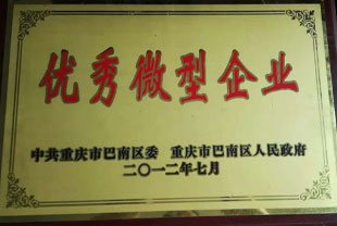 榮譽資質(zhì)